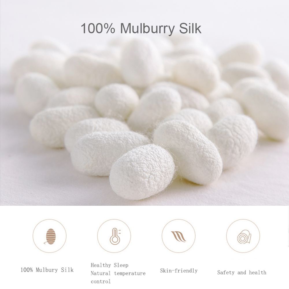 Liv-Esthete ผ้าไหม 100% ชุดผ้า - Skincare Skin 1004 บทวิจารณ์และราคา